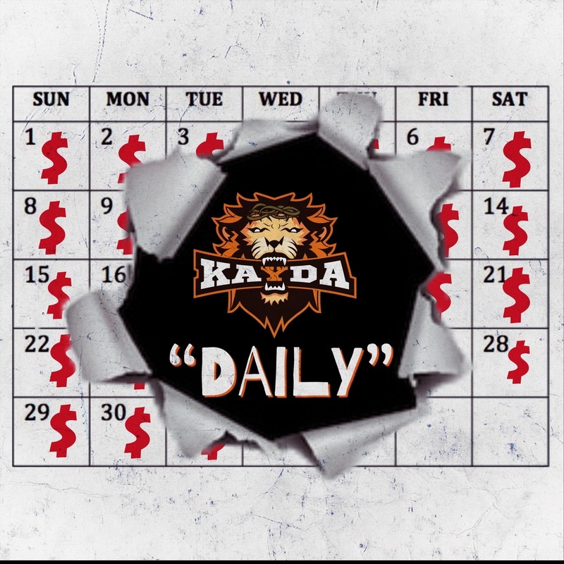 Daily封面