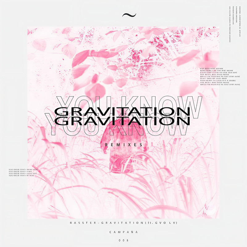 Gravitation封面