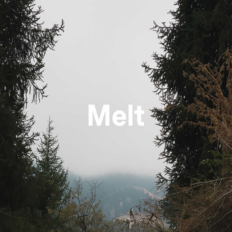 Melt封面