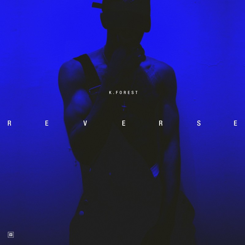 Reverse封面
