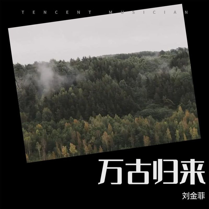 万古归来封面