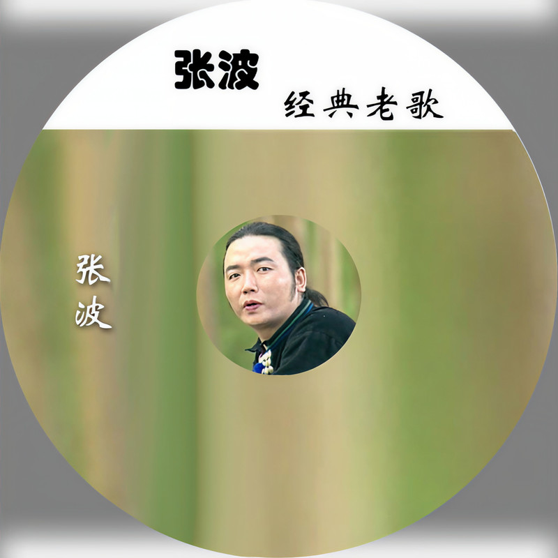 心的约会封面