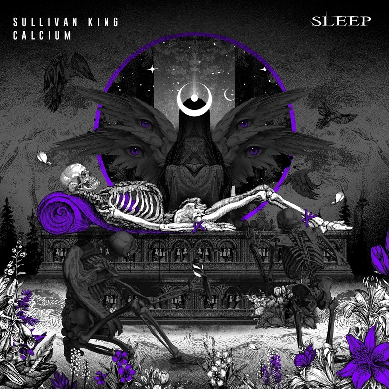 Sleep(withCalcium)(Explicit)封面