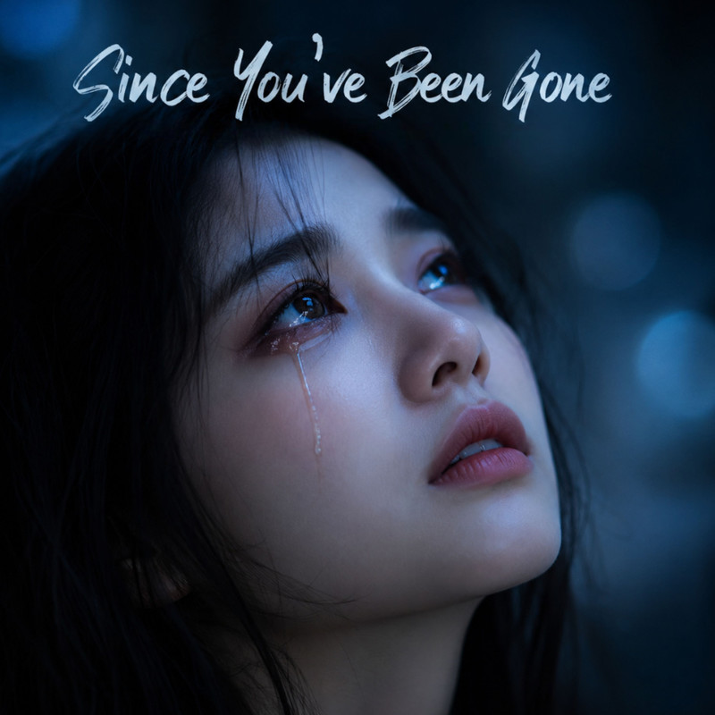 SinceYou'veBeenGone封面