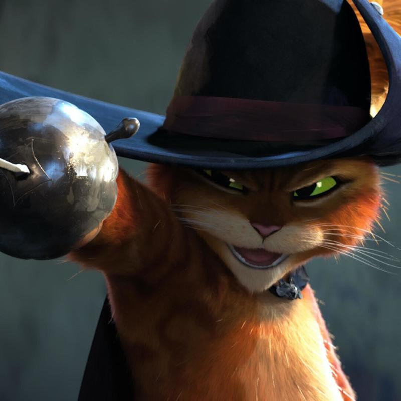 Pussinboots封面