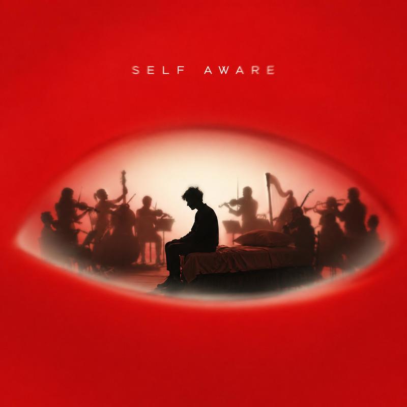 SelfAware封面