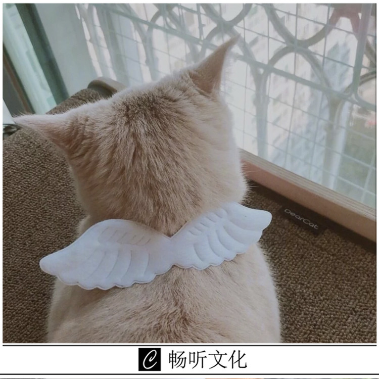 瑞兹封面