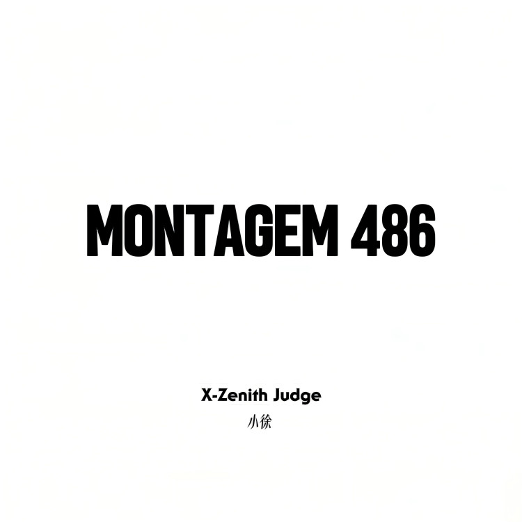 MONTAGEM486封面