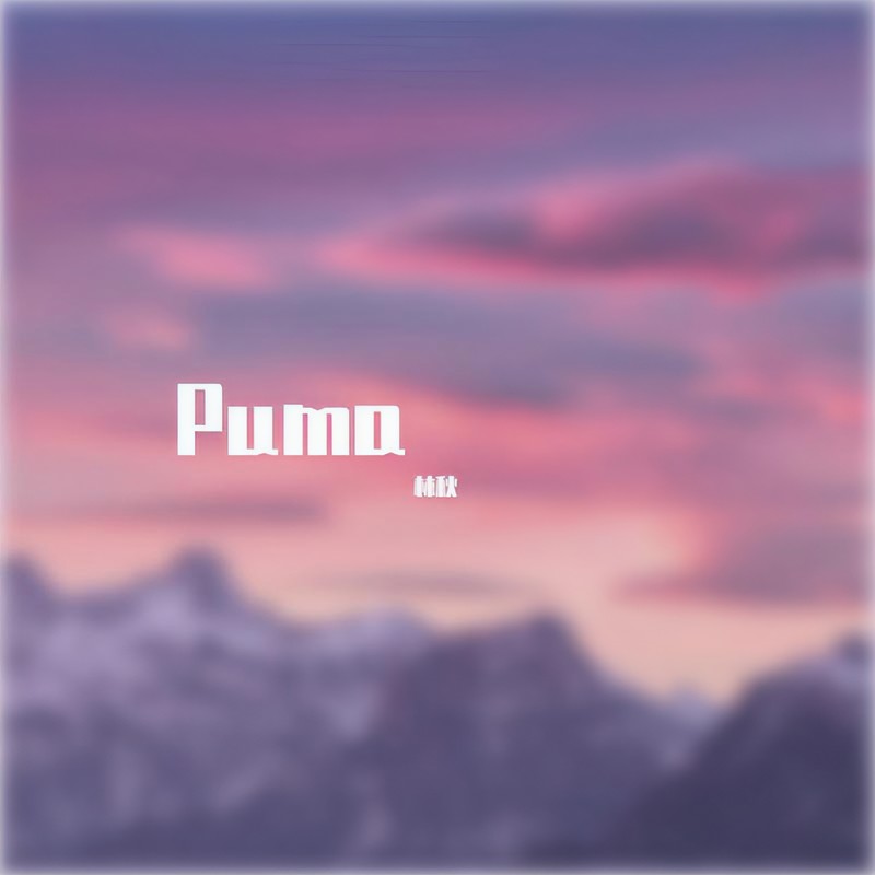 PUMA封面