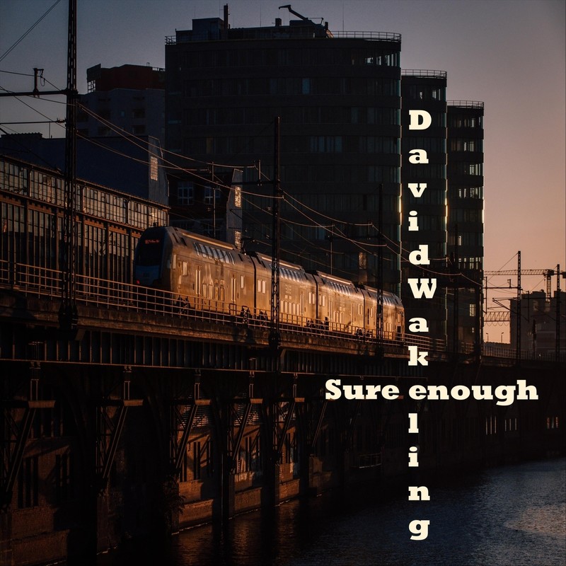 SureEnough封面