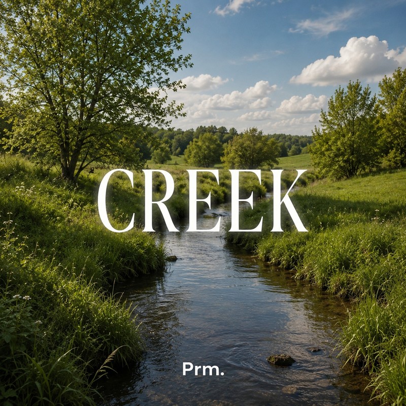 Creek封面