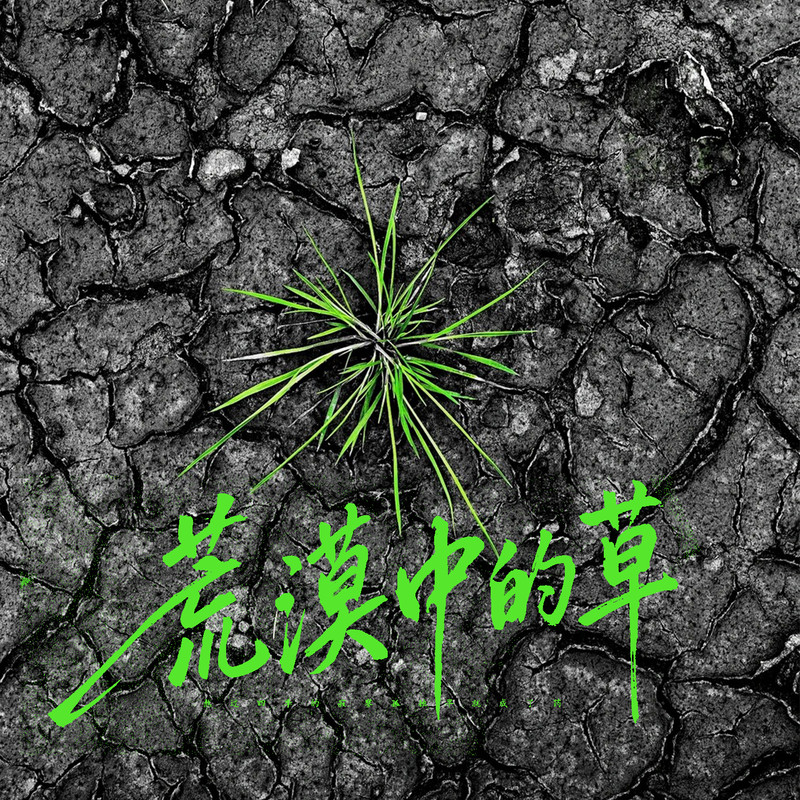 荒漠中的草封面