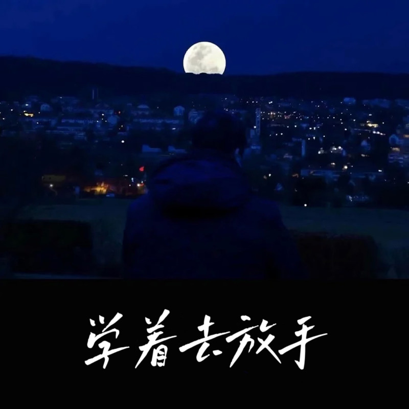 学着去放手封面