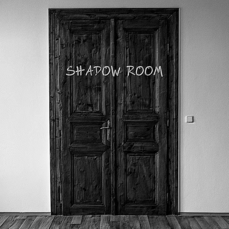 ShadowRoom封面