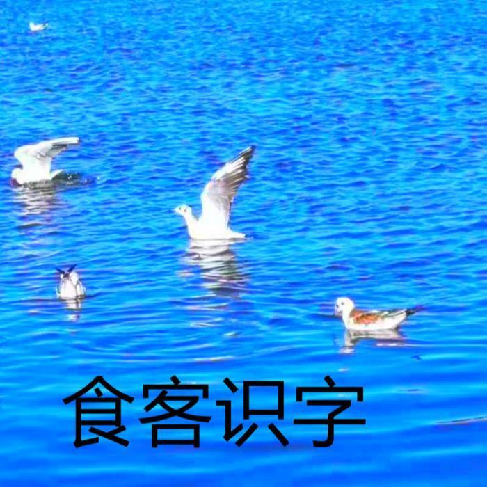 咧封面