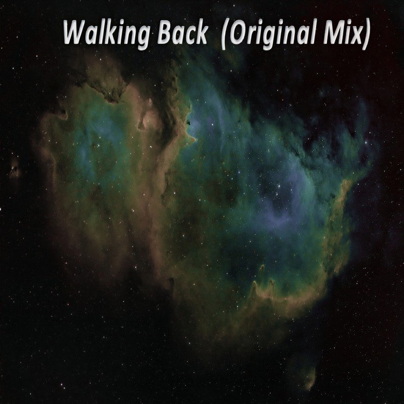 WalkingBack封面