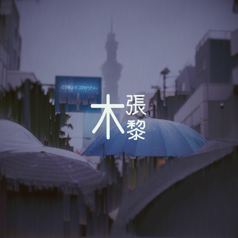 麻烦封面
