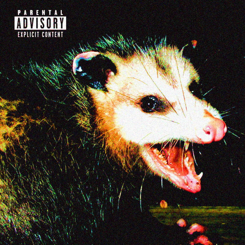 Opossum(Explicit)封面