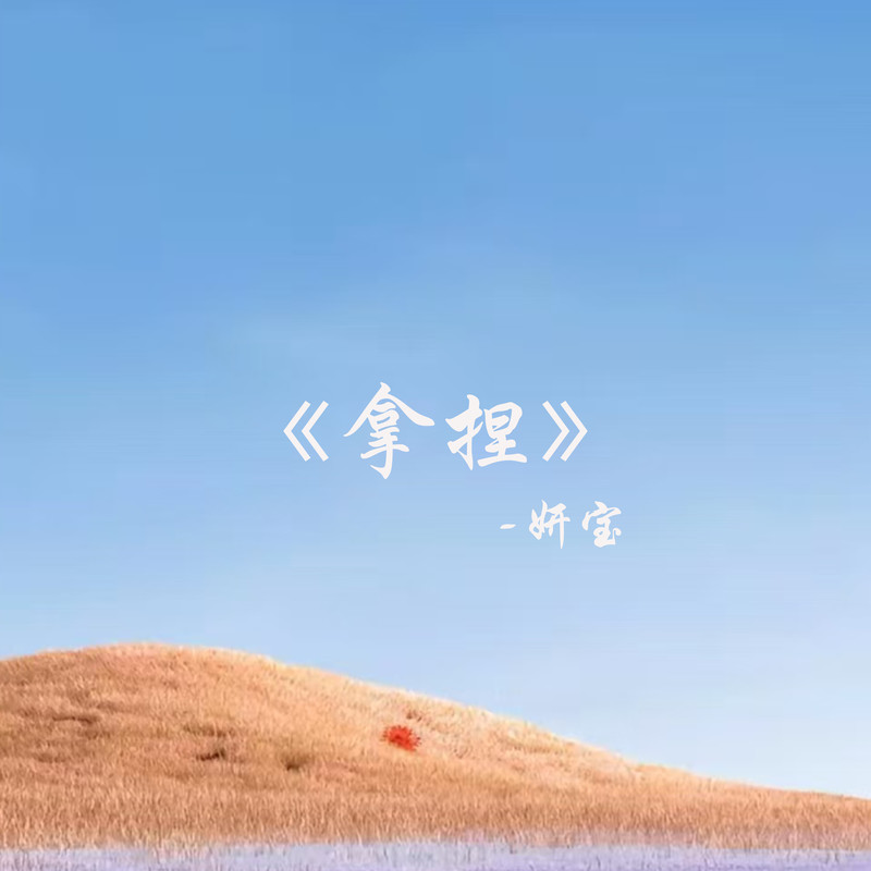 拿捏封面