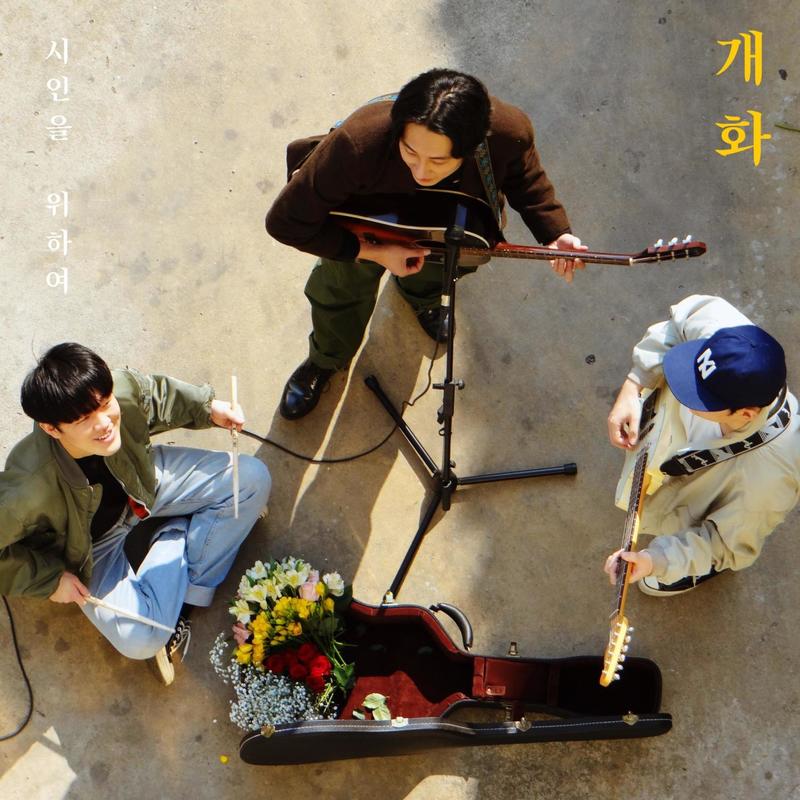 개화(Bloom)封面