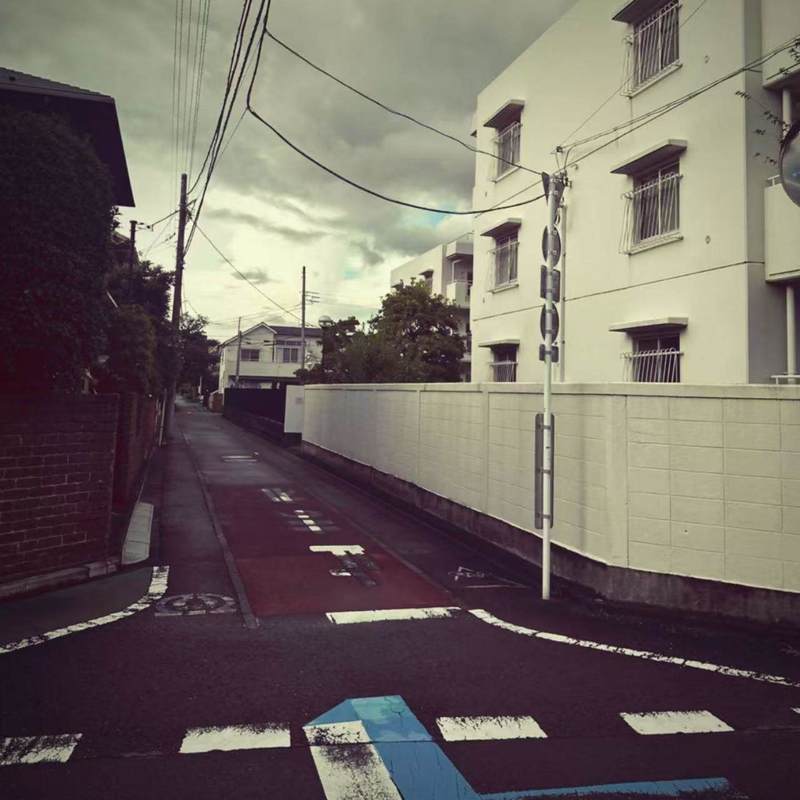 PlainJane封面