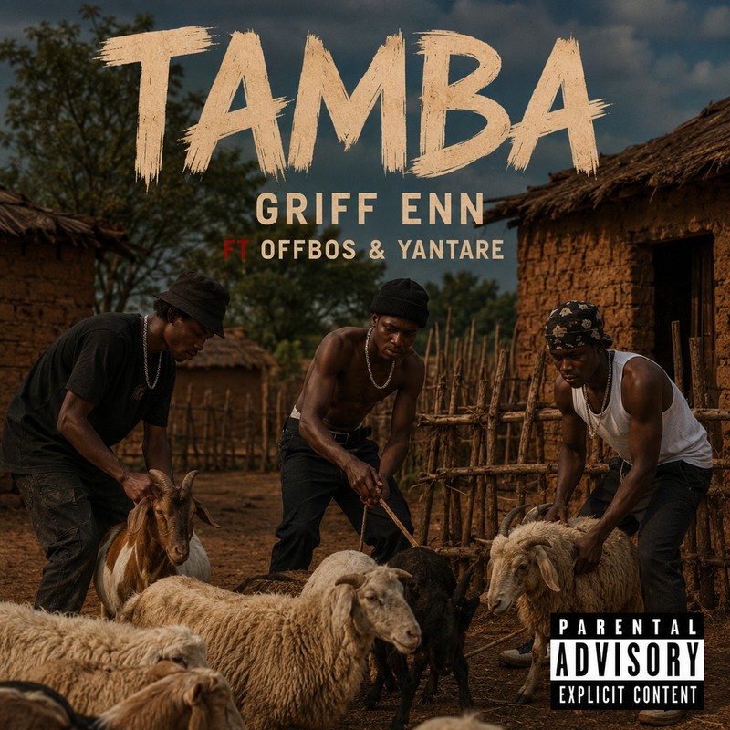 Tamba封面