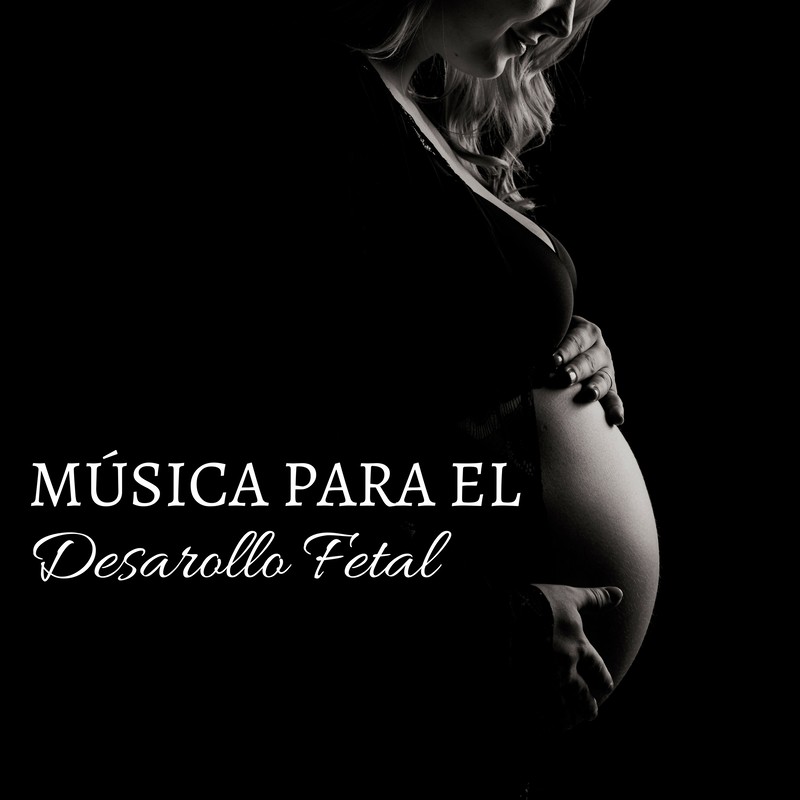 MúsicaparaelDesarolloFetal封面