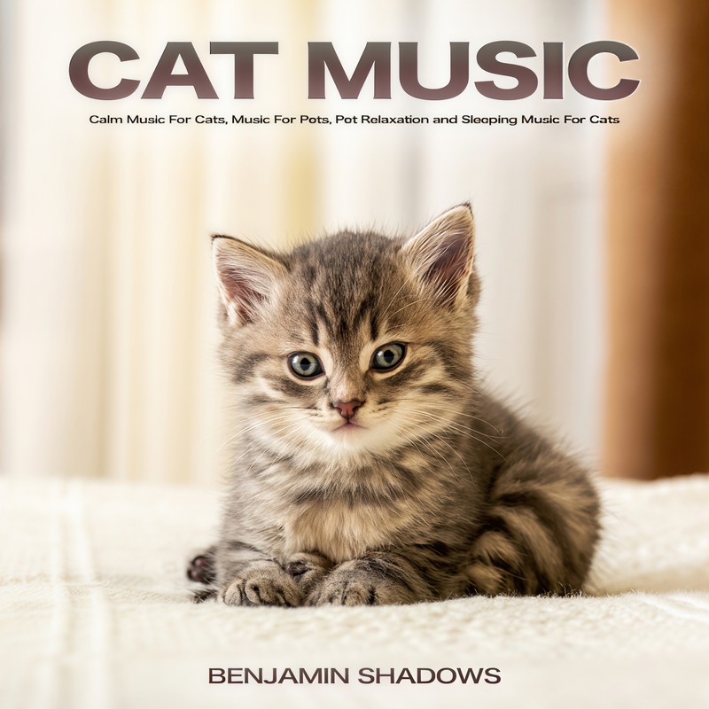 MusicForCats封面