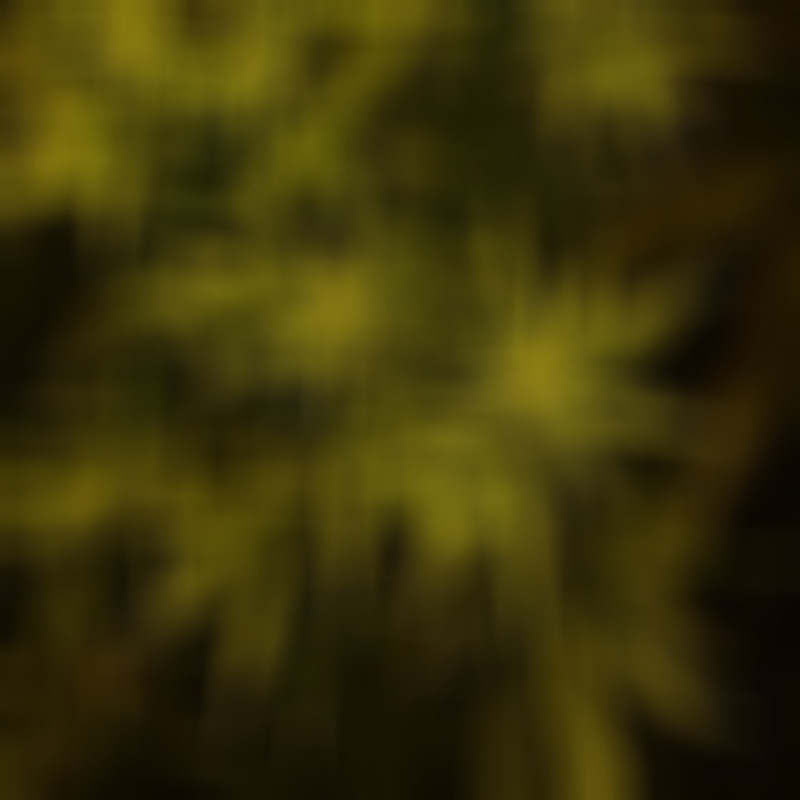 DaGreen封面
