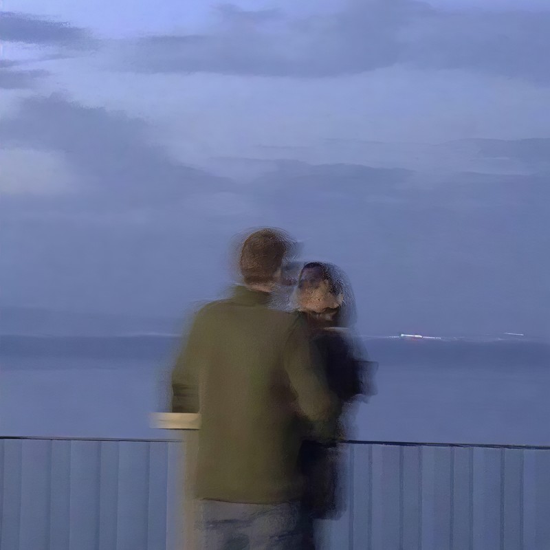 我是一只鱼封面