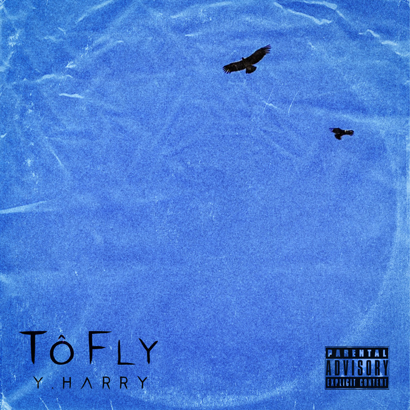 TôFly封面
