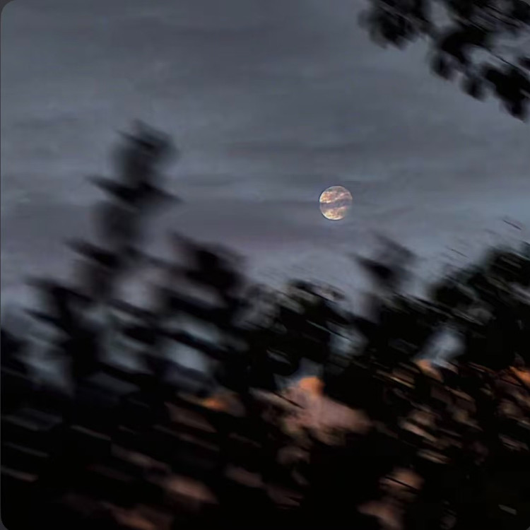 星辰之光封面
