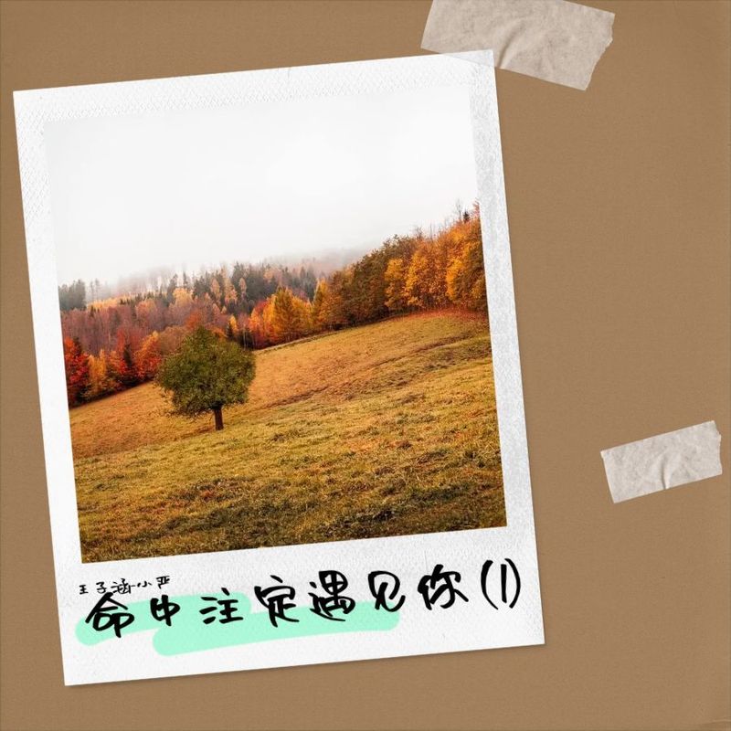 命中注定遇见你封面