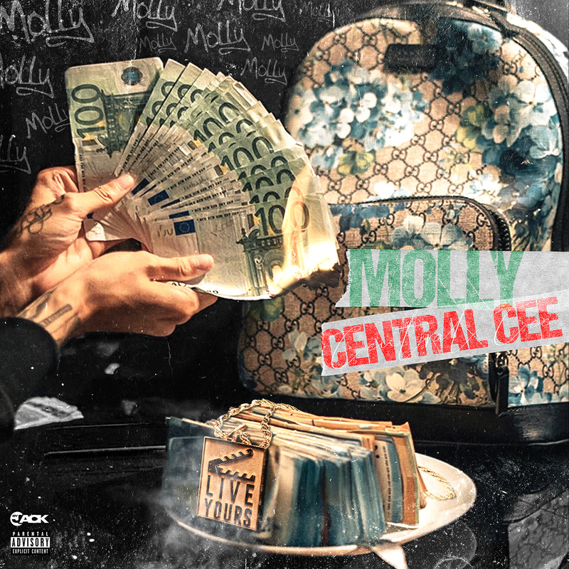 Molly封面