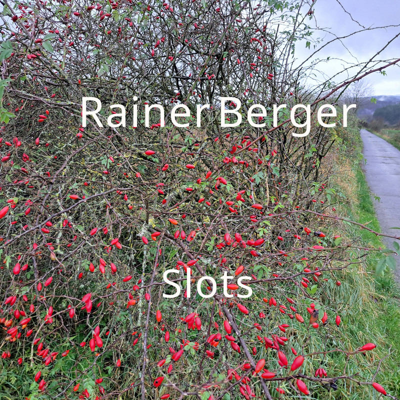 Slotsieben封面