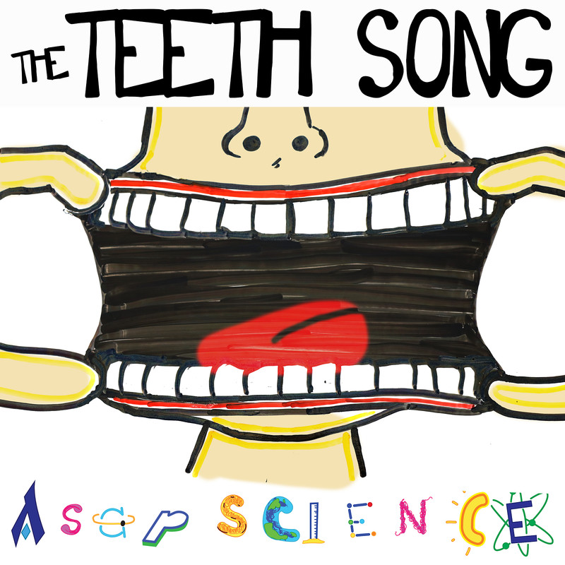 TheTeethSong封面