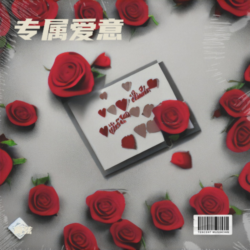 星光落窗前封面