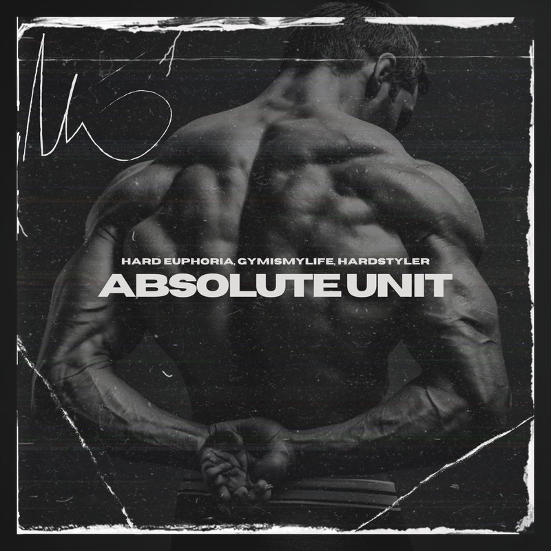 AbsoluteUnit封面