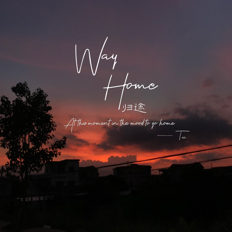 归途WayHome封面