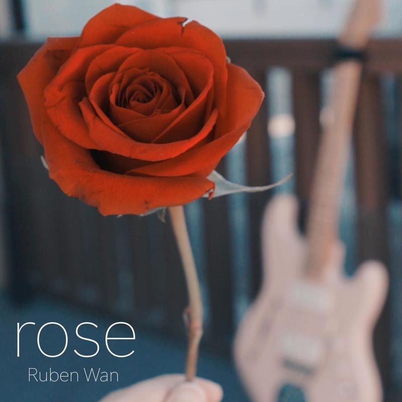 Rose封面