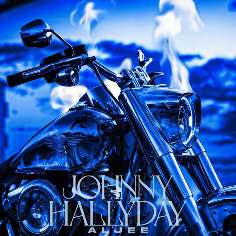 JOHNNYHALLYDAY封面