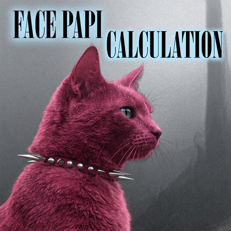 Calculation封面