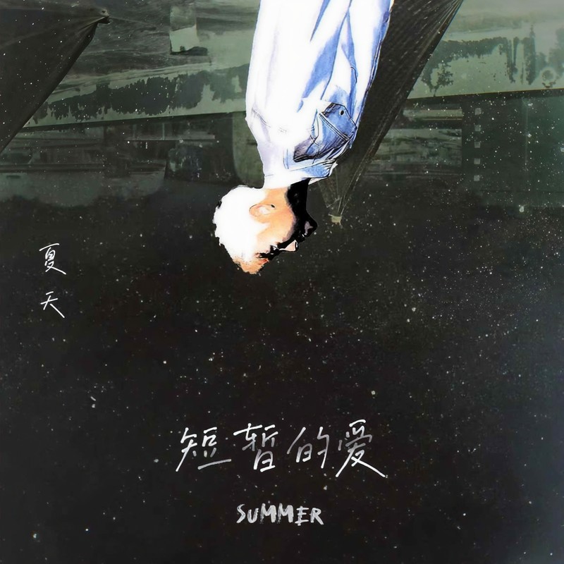 短暂的爱封面