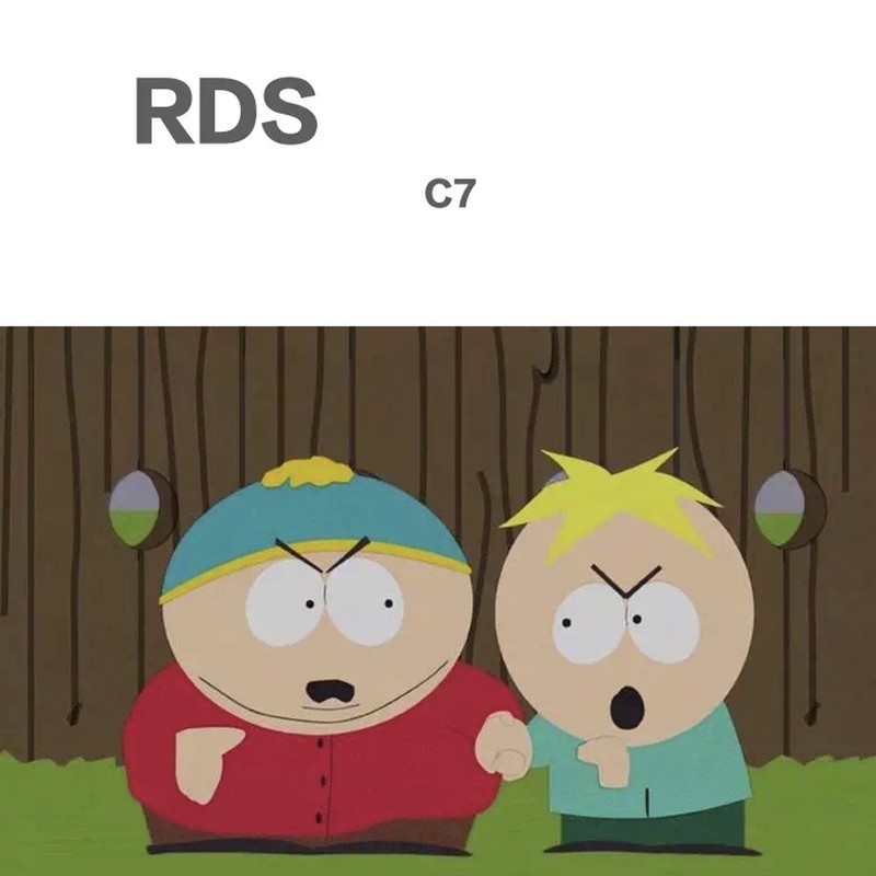 RDS封面