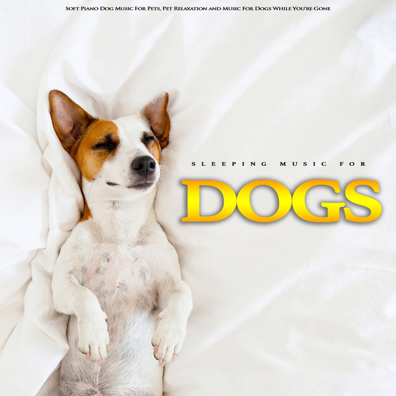 DogMusicForPets封面
