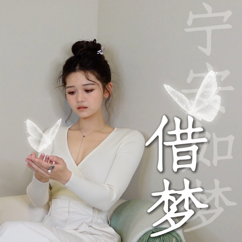 借梦封面
