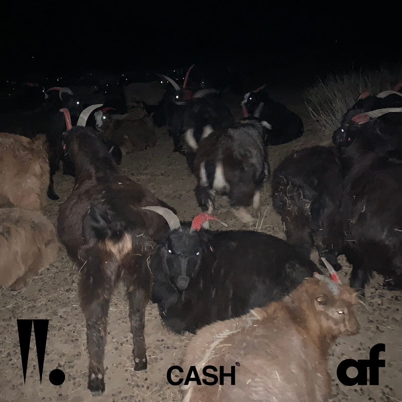 CASH封面