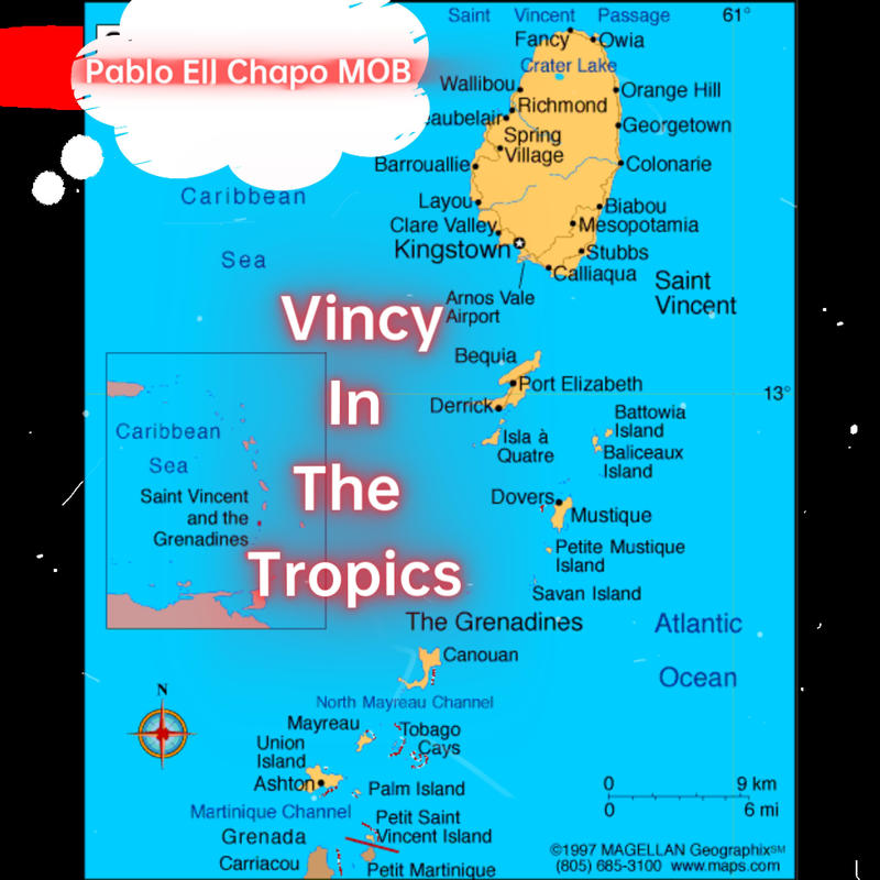 VincyInTheTropics封面