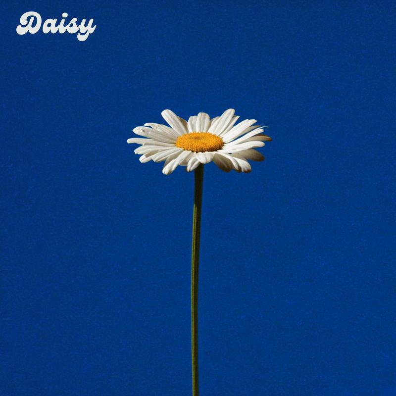 Daisy封面