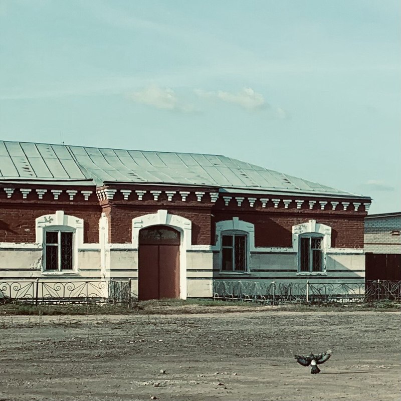 Rina封面